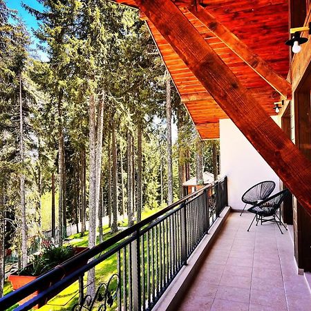 Boutique Villas Murgavets Pamporovo Extérieur photo