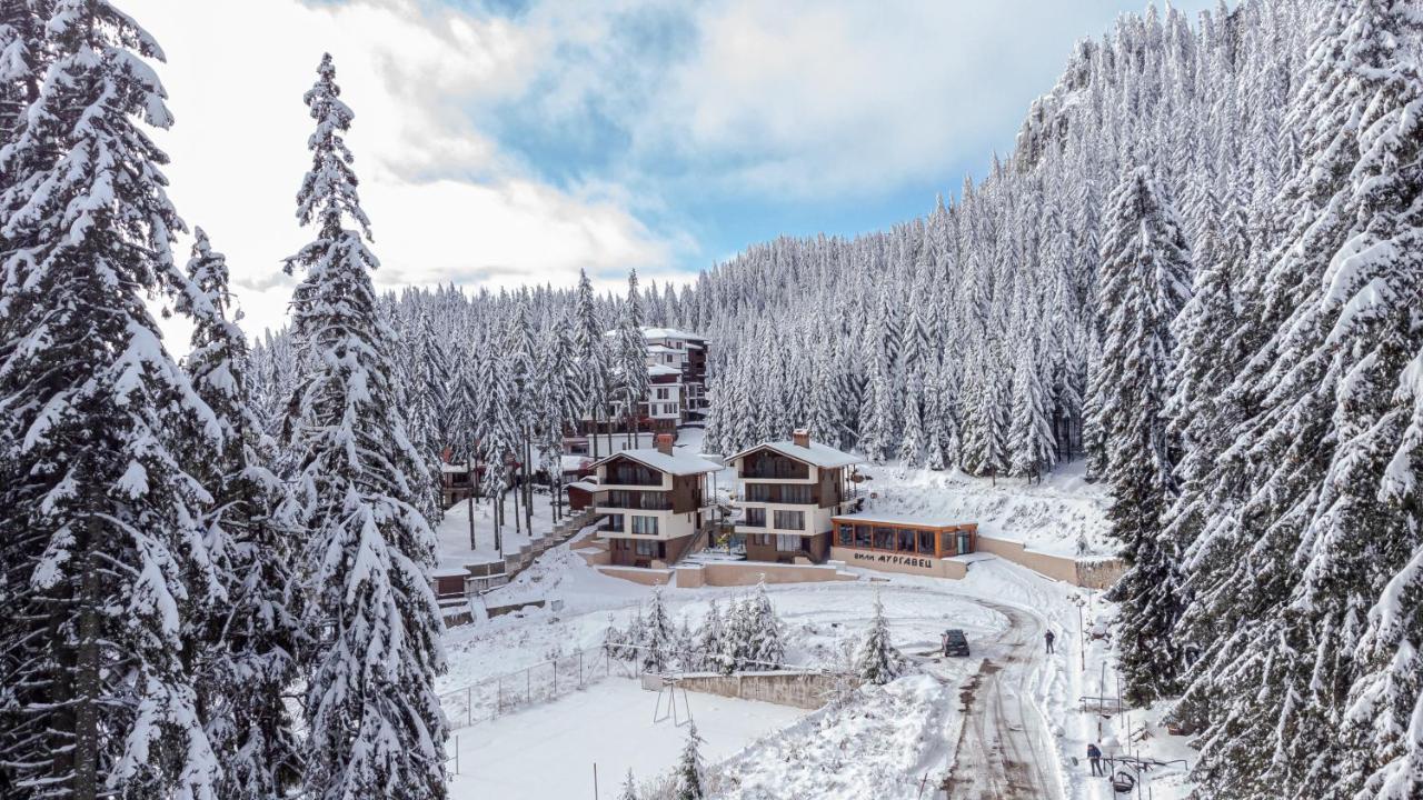 Boutique Villas Murgavets Pamporovo Extérieur photo